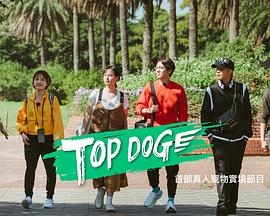 每日吃瓜爆料《TOP DOG》免费在线观看