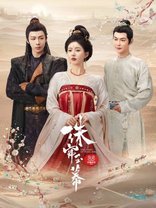 每日吃瓜《珠帘玉幕》免费在线观看